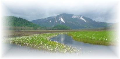 �����R���o�b�N�ɍō��̐��m�ԃ|�C���g�B